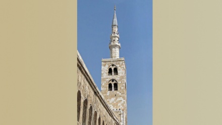 Video: la costruzione di terza grande moschea del mondo in Algeria