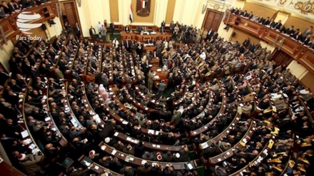 埃及批评卡塔尔的敌对立场