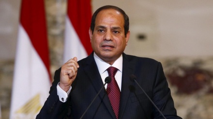 Egypt takes a firm stance on Syria in opposition to the Saudi stance