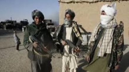 کشته و زخمی شدن تعدادی طالب در عملیات نظامی قوای افغان در ولایت لوگر