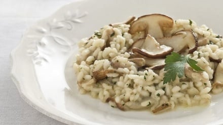 Medicinal Food: i funghi aiutano a combattere demenza e Alzheimer