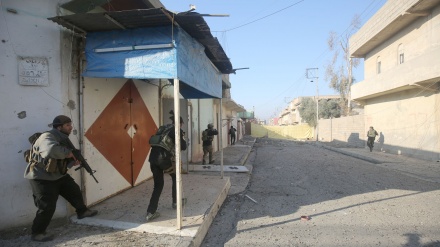 Forcat irakiane çlirojnë tre lagje të Mosulit