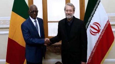 Larijani: Iran-Mali Punya Pandangan Sama Mengenai Krisis Timteng