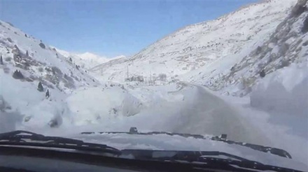 Avalanches kill seven in Tajikistan