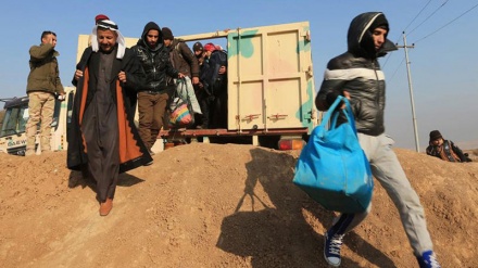 Моселдан қочиш.(СУРАТЛАР) 