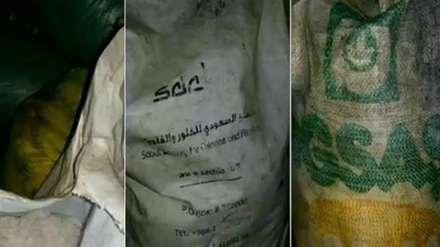 Syrian forces uncover Saudi chemical weapons agents in Aleppo