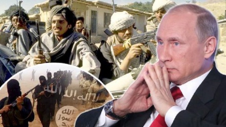 روسیه برای مقابله با داعش باید با دولت افغانستان همکاری کند نه با طالبان