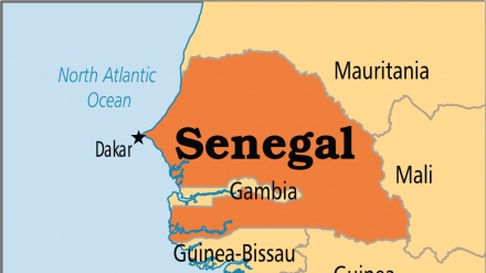 Wasu 'Yan Bindiga Sun Bindige Mutane 13 A  Kudancin Kasar Senegal