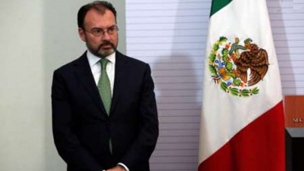 墨西哥外长：我们将毫无畏惧地与特朗普进行谈判