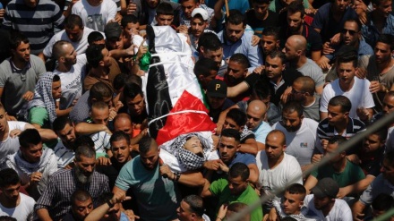 パレスチナ人漁業関係者が殉教、２０１７年最初の殉教者に