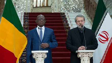 Mideast crises overshadow Palestinian issue: Larijani