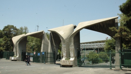 Universiteti i Teheranit në mesin e 500 instituteve të gjelbër të botës