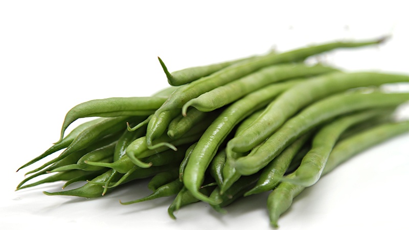 10 bonnes raisons de manger des haricots verts
