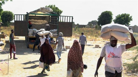 26k displaced families in Nigeria’s Borno state received food: MSF
