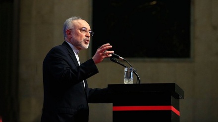 萨利希：我们决定建设新的核电站