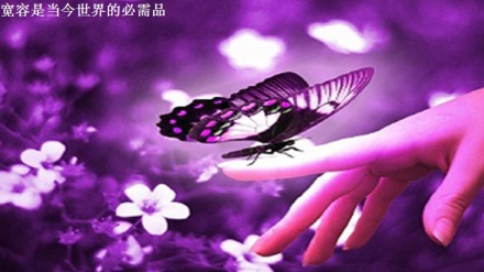 宽容是当今世界的必需品