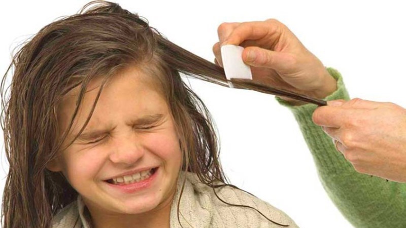 10 trucs contre les poux