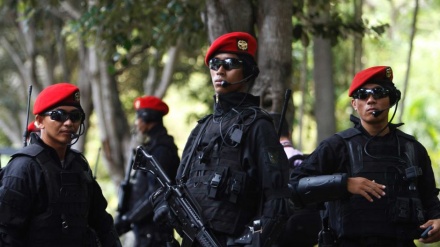 Isu Politik, Ujian Profesionalisme TNI