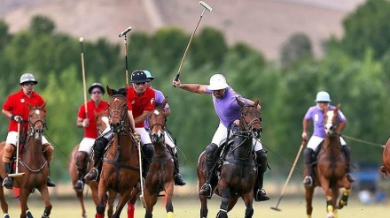 Իրանական չոգան մարզաձևը միջազգային գրանցում է  ստանալու