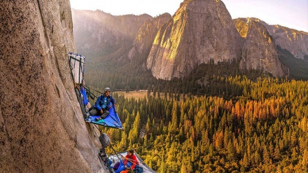 2016 йилнинг энг дадил можарожўйликлари.(СУРАТЛАР)