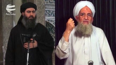 Kreu i Al Kaidas: Al Bagdadi është mashtrues