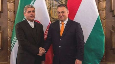 イランとEU、批判から戦略的協力まで