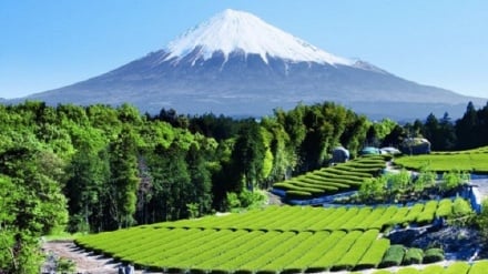 Сайёрамиздаги энг гўзал ва ҳайратланарли миллий боғлар (1)