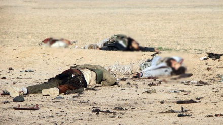 Belasan Orang Tewas dalam Serangan Teroris di Suriah