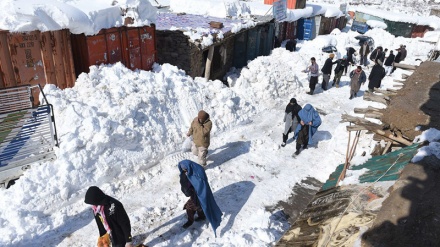  سقوط بهمن در افغانستان با بیست و یک کشته 