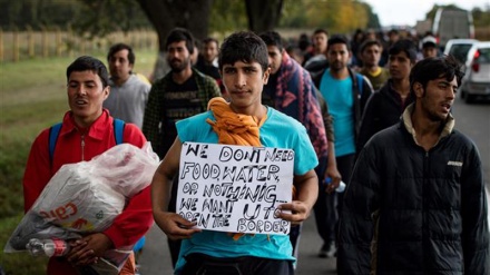 Hungary starts construction of second fence along Siberia border