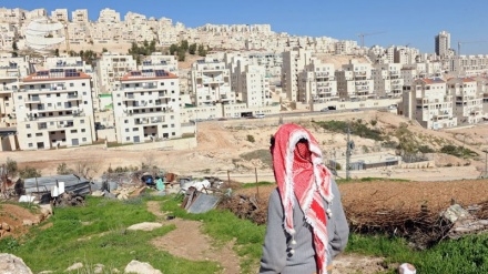犹太复国主义政权打算在被占领的巴勒斯坦南部兴建一万多套住房
