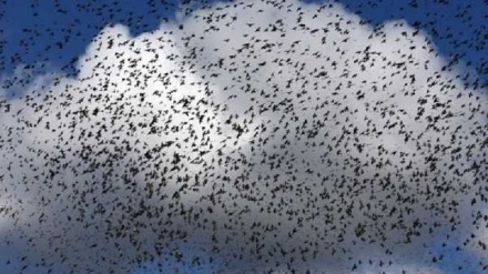 (FOTO DEL GIORNO) La bellezza di natura