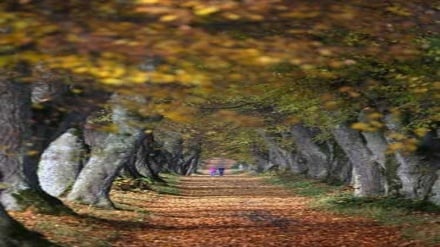 (FOTO DEL GIORNO) La bellezza di natura