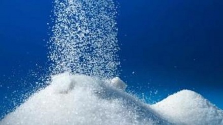 Россия Ўзбекистонга шакар ва ёғ маҳсулотлари экспортини бир неча баробарга оширишга тайёр