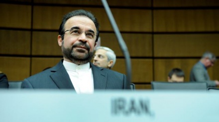 حمایت قاطع ایران از پیمان منع سلاح های هسته ای 
