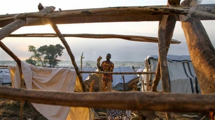 Militants in Central African Republic executed 32 civilians in December: HRW 