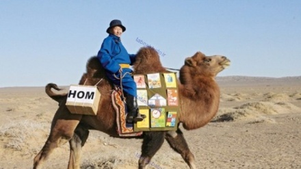 Жаҳондаги энг  кўркам  ва оддий бўлмаган кутубхоналар