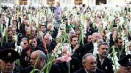 Имом Ризо(а) таваллуд топган кунларининг маросими(ВИДЕО)