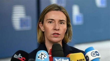 Ageing Europe needs migrants: EU’s Mogherini