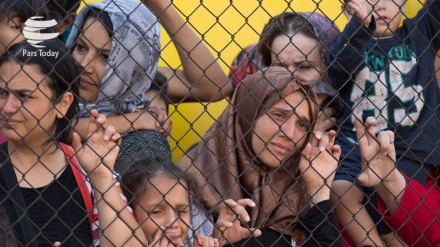 难民是衡量欧洲人权的标准7