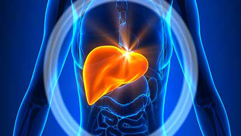 8 habitudes dangereuses pour le foie