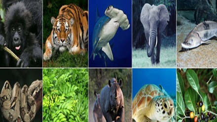हम और पर्यावरण-27