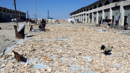 Um ataque à bomba matou 35 civis, 7 militantes próximo al-Bab