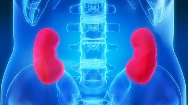 11 habitudes néfastes qui détruisent vos reins