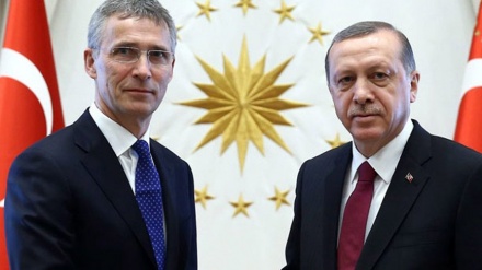 Erdoğan ve NATO genel sekreteri arasında görüşme 