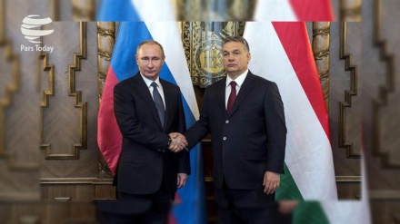 Putin: Kiyev Ukraynanın doğusundaki çatışmaları baş sorumlusu