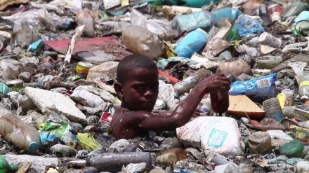 Brasil poderá ter 3,6 milhões de novos pobres neste ano