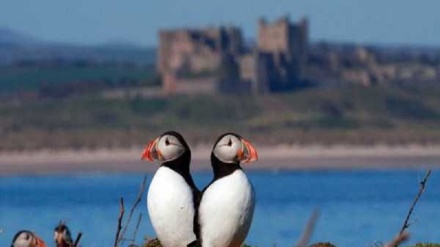 (FOTO DEL GIORNO) No comment