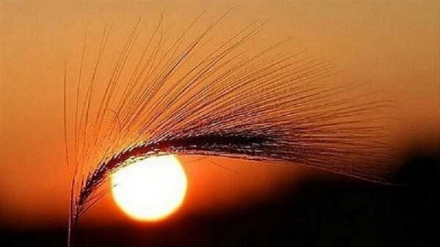 (FOTO DEL GIORNO) No comment