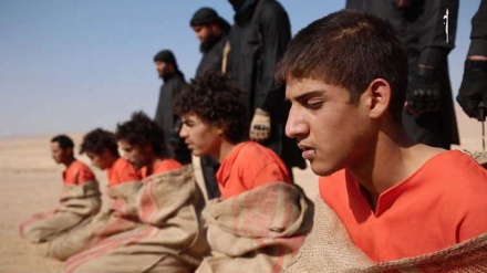 ISIS vret mbi 5 mijë sirianë